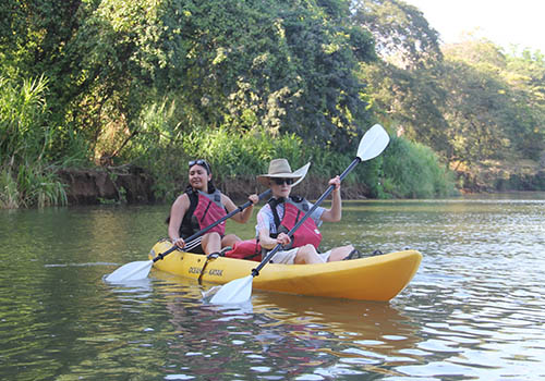 Guanacaste Mangrove + Estuary Kayak Adventure